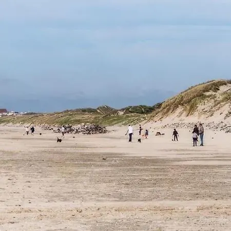 Proche Du Bord De Et Au Coeur Des Dunes *