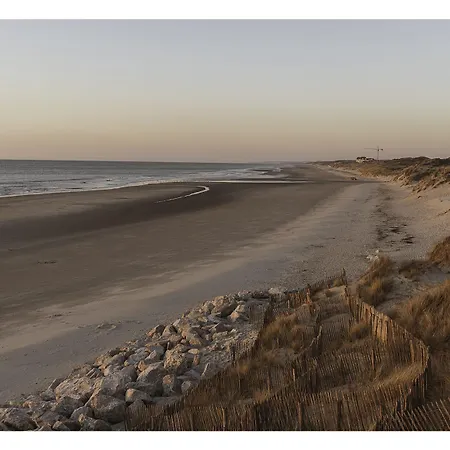 Proche Du Bord De Et Au Coeur Des Dunes מרלימון