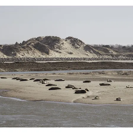 Proche Du Bord De Et Au Coeur Des Dunes